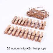 Picture of WOODEN PEGS X20