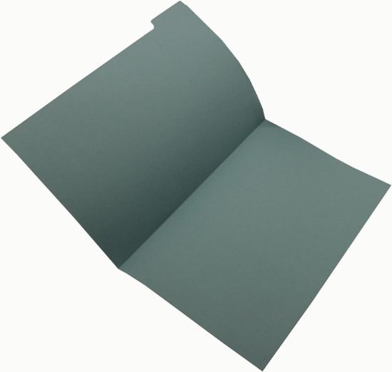 Picture of FS TAB FILES BLUE X100 GUILDHALL