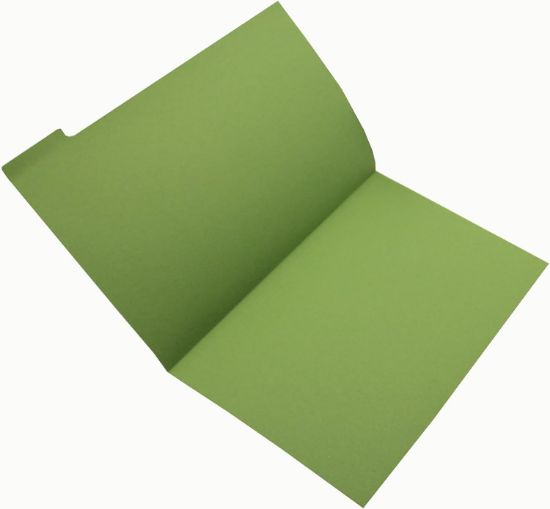 Picture of FS TAB FILES GREEN X100 GUILDHALL