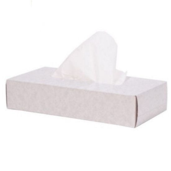 Picture of FACIAL TISSUES 2 PLY BOX X100