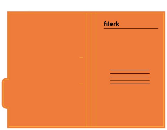 Picture of FS TAB FILES ORANGE X1 FILERK