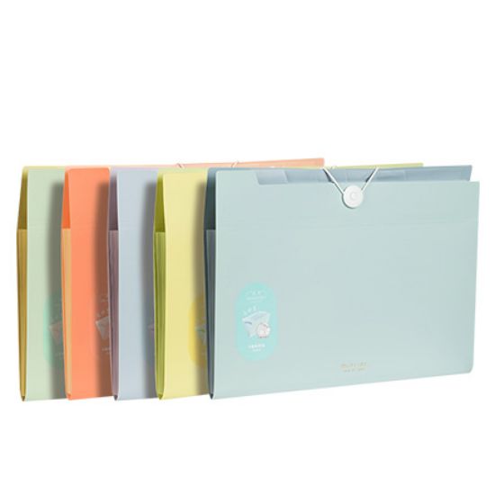 Picture of EXPANDING FOLDER X13 DIVIDERS 337 DELI
